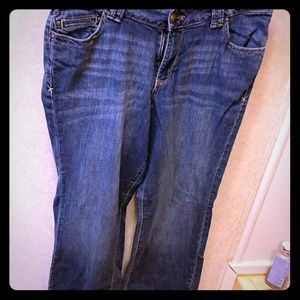 Lane Bryant jeans